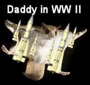 flying squirrel 3.jpg