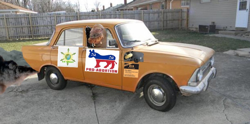car1.jpg
