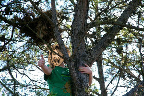 me-in-a-tree.jpg