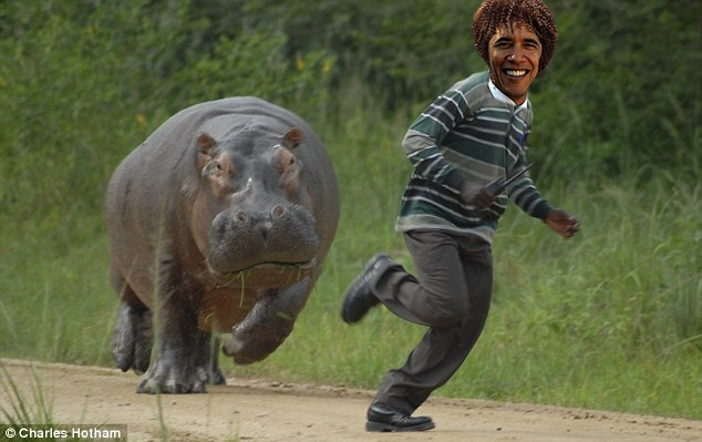 obamahippoattack.jpg