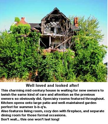 detroit mid century.jpg