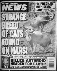 catsonmars.jpg