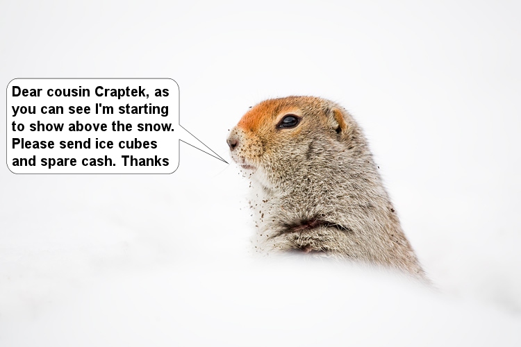 Crapteks Cousin.jpg