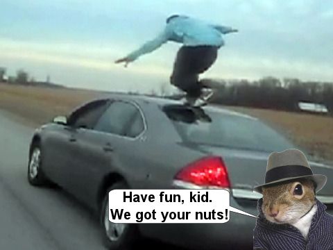 Have Fun Kid.jpg