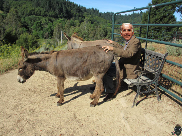 man-with-3-asses.jpg