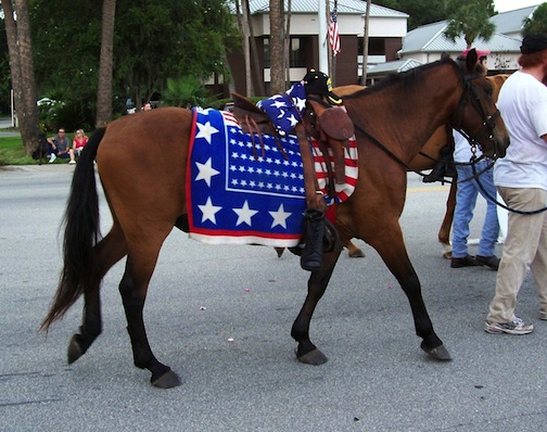 saddle.jpg