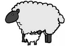 sheep.jpg