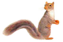 Craptek-flips-his-tail.gif