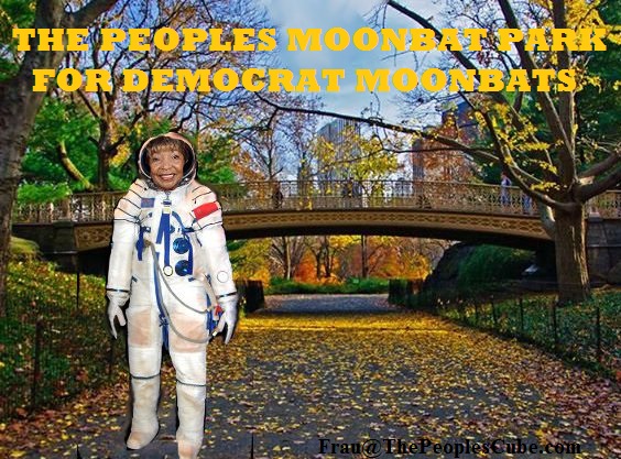 moonparkformoonbats_moonbat_1.jpg
