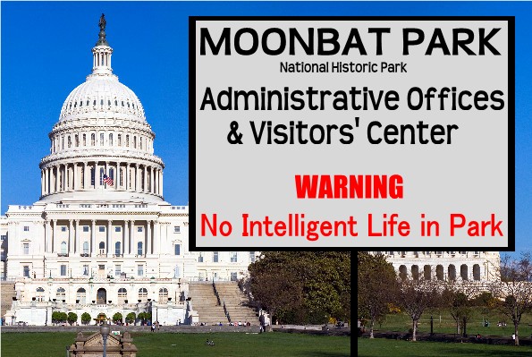 Moonbat_a.jpg