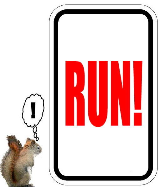 crosswalk2.jpg