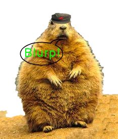 Blurp.jpg