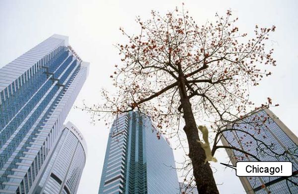 Craptek in the City.jpg