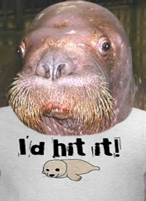 walruswhiskers2 copy.jpg