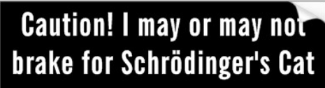 shrodingers cat.PNG