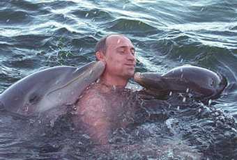 putinanddolphins.jpg
