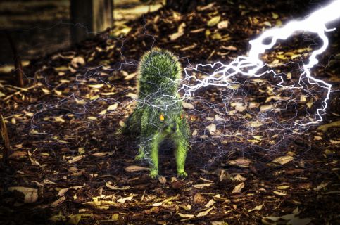 Electric Craptek 3.jpg