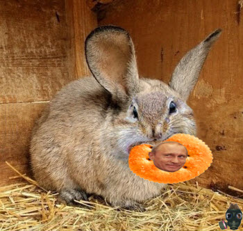 squabbit.jpg
