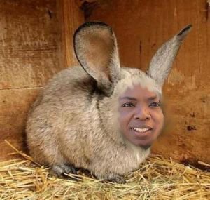 obun.jpg