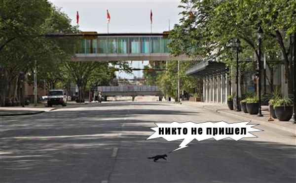 squirrel on street.jpg