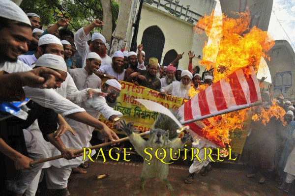 Rage Squirrel B.gif