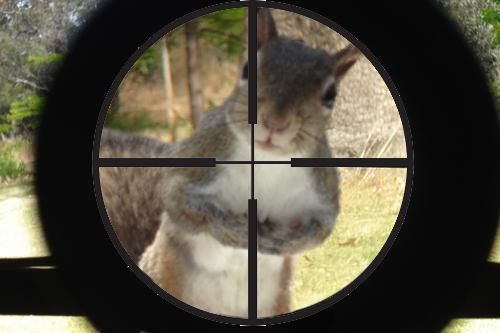 Craptek in crosshairs.jpg