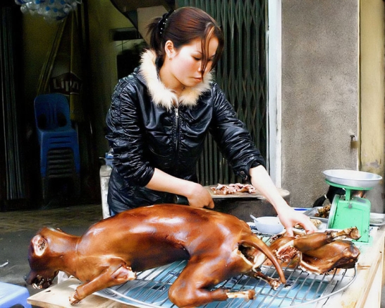 crw_8281_dog_meat_sm.jpg