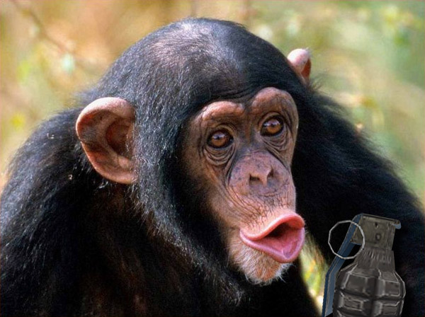 MonkeyWithAHandGrenade.jpg