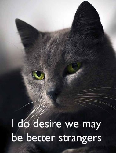 I do desire 2.jpg