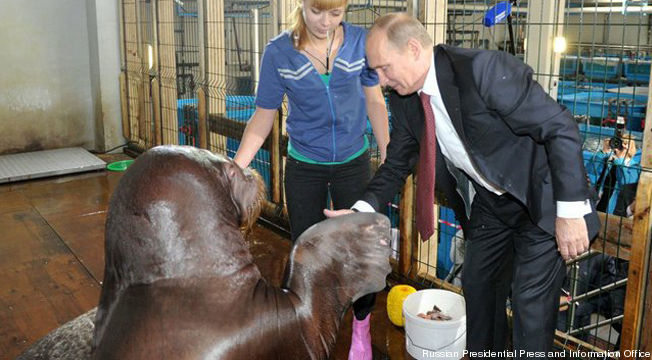 putinwalrus2-cropped-proto-custom_28.jpg