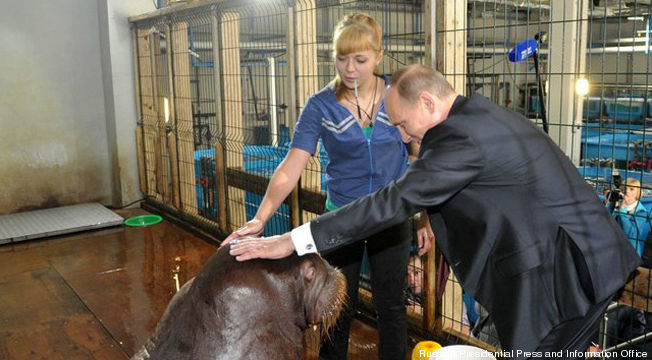 putin-walrus1-cropped-proto-custom_28.jpg
