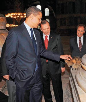 obama-cat-01.jpg