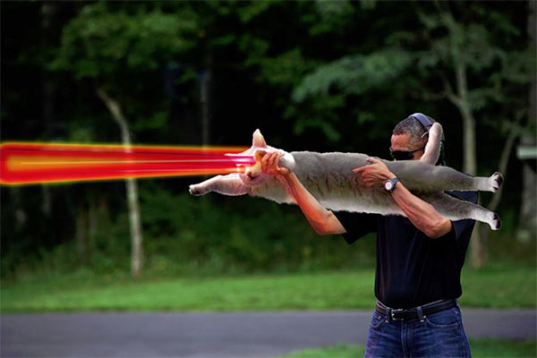 Skeet_Obama_Laser_Cat.jpg