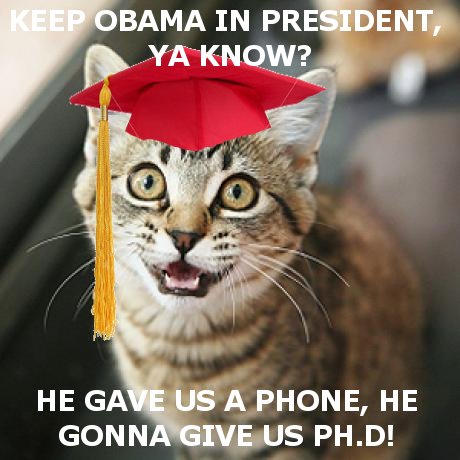 graduatecat.jpg