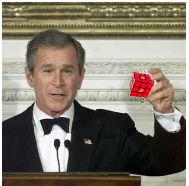 bush cube.jpg