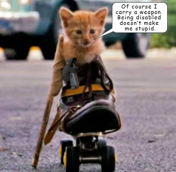 DisabledKittenArmed.jpg