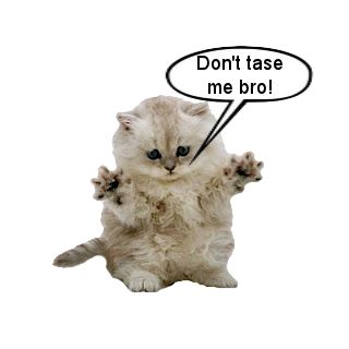 Dont tase me bro.jpg
