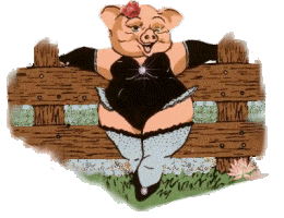 sexy pig.gif