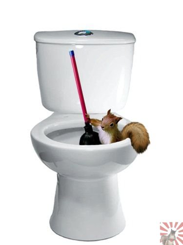 Craptek at crapper.jpg