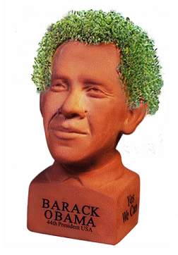 obama_chia_pet.png