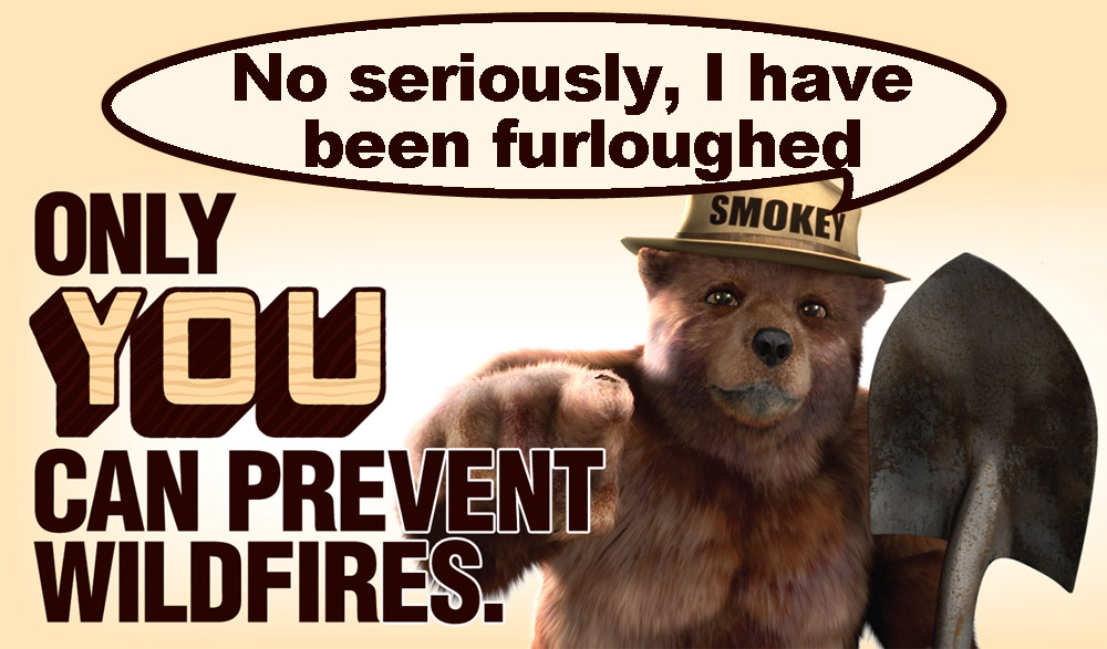 SMokey.jpg