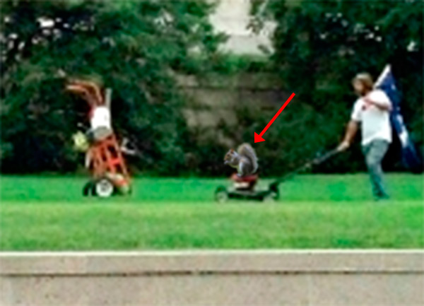 SquirrelMower.jpg