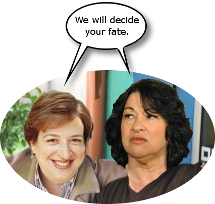 judges.jpg
