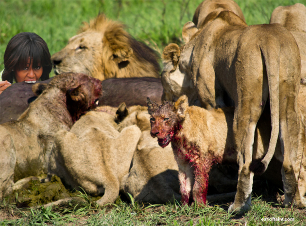 african-safari (2).jpg