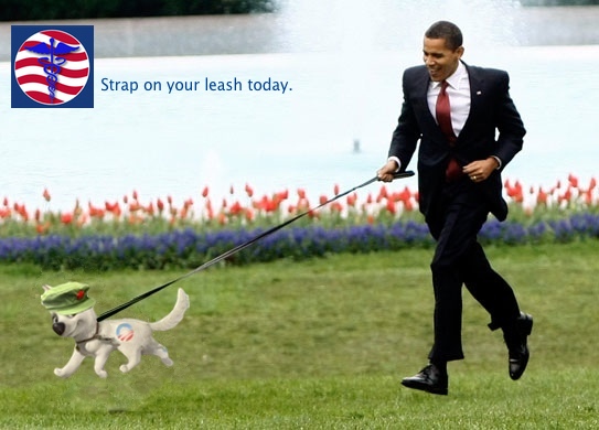 26549-obama-and-bo 2 copy.jpg