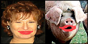 joy behar.jpg