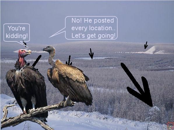 27152-Siberia-Scatter 2.jpg