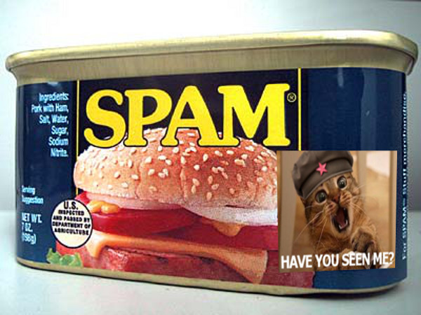 spam.jpg
