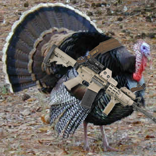 turkey.jpg