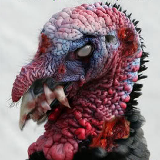 zombieturkeytarget.jpg